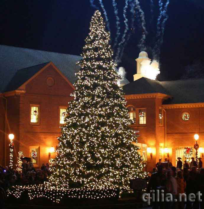 大型LED灯圣诞树